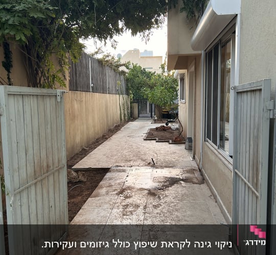 שביל עם ענפים גזומים ועצים בצדדים